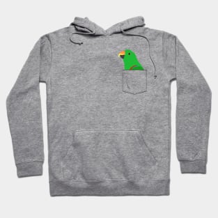 Eclectus Male Parrot In Your Front Pocket Hoodie